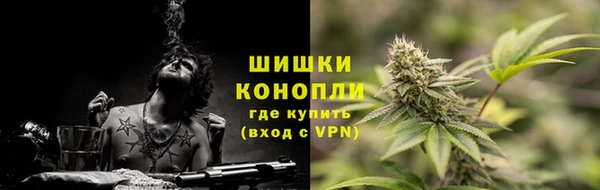 стафф Бородино