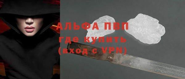 стафф Бородино